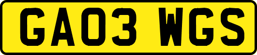 GA03WGS