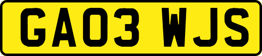 GA03WJS