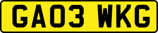 GA03WKG