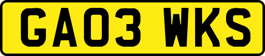 GA03WKS