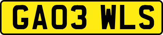 GA03WLS