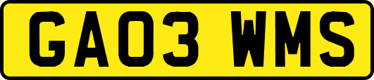 GA03WMS
