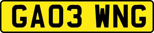 GA03WNG