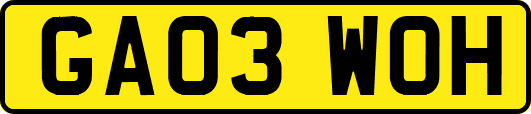 GA03WOH