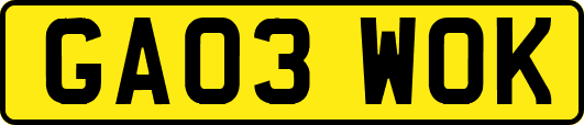 GA03WOK
