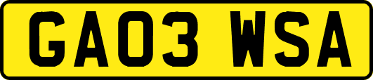 GA03WSA