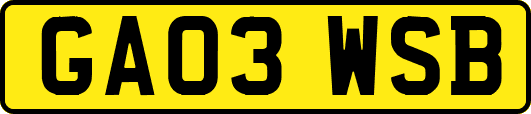 GA03WSB
