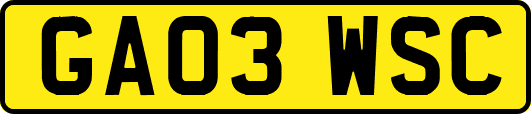 GA03WSC