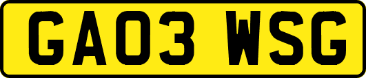 GA03WSG