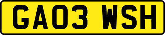GA03WSH