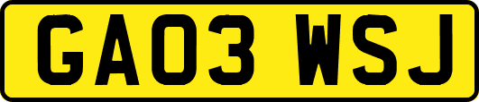 GA03WSJ