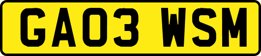 GA03WSM