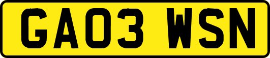 GA03WSN