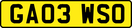 GA03WSO