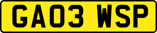GA03WSP