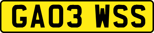 GA03WSS