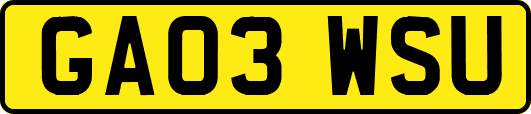 GA03WSU