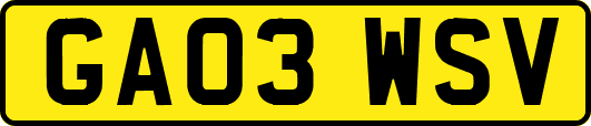 GA03WSV