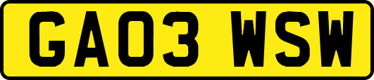 GA03WSW