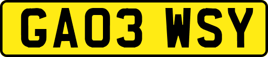 GA03WSY