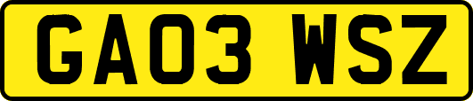 GA03WSZ