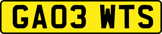 GA03WTS