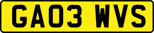 GA03WVS