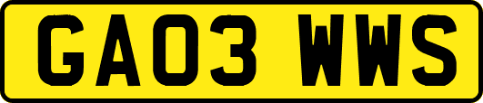 GA03WWS