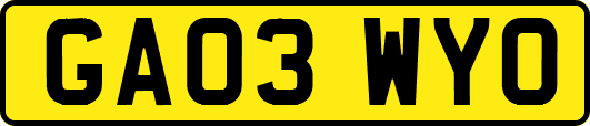 GA03WYO