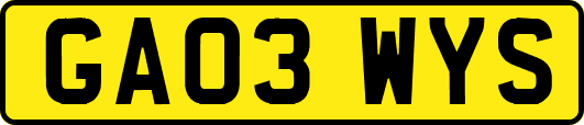 GA03WYS