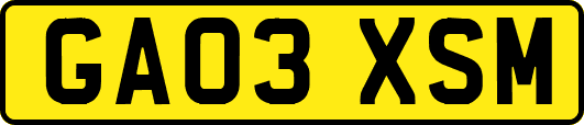 GA03XSM