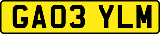 GA03YLM