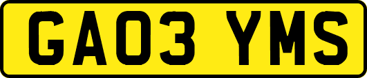 GA03YMS