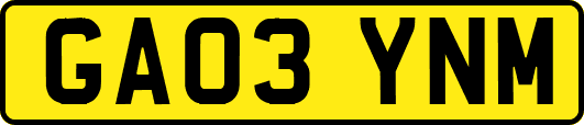 GA03YNM
