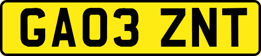 GA03ZNT