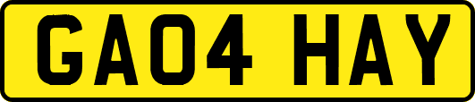 GA04HAY