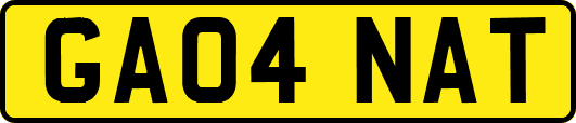 GA04NAT