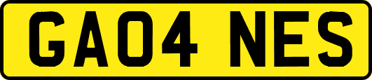 GA04NES