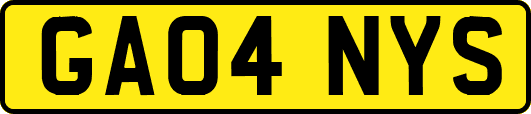 GA04NYS