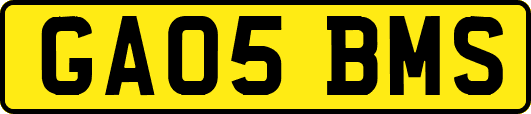 GA05BMS