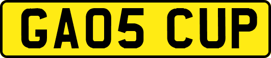 GA05CUP