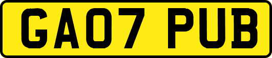 GA07PUB