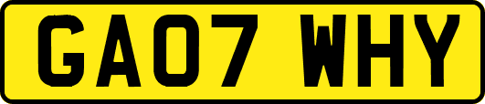 GA07WHY
