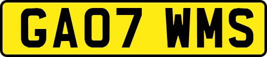 GA07WMS