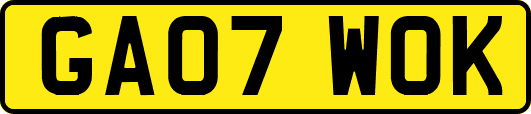 GA07WOK