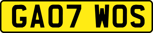 GA07WOS