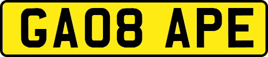 GA08APE