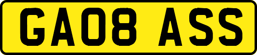 GA08ASS
