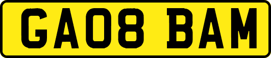 GA08BAM