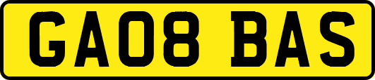 GA08BAS